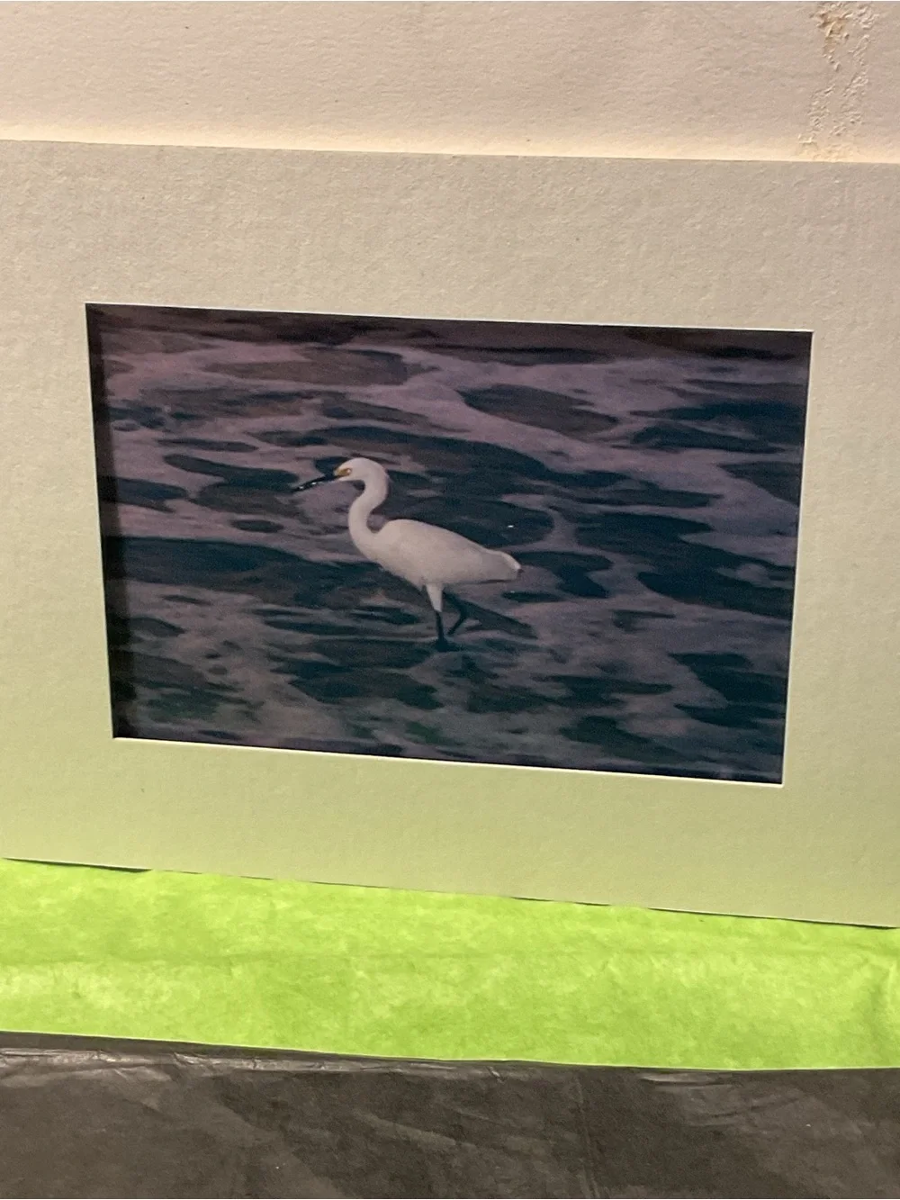 Mandarin Duck and Snowy Egret Art Prints